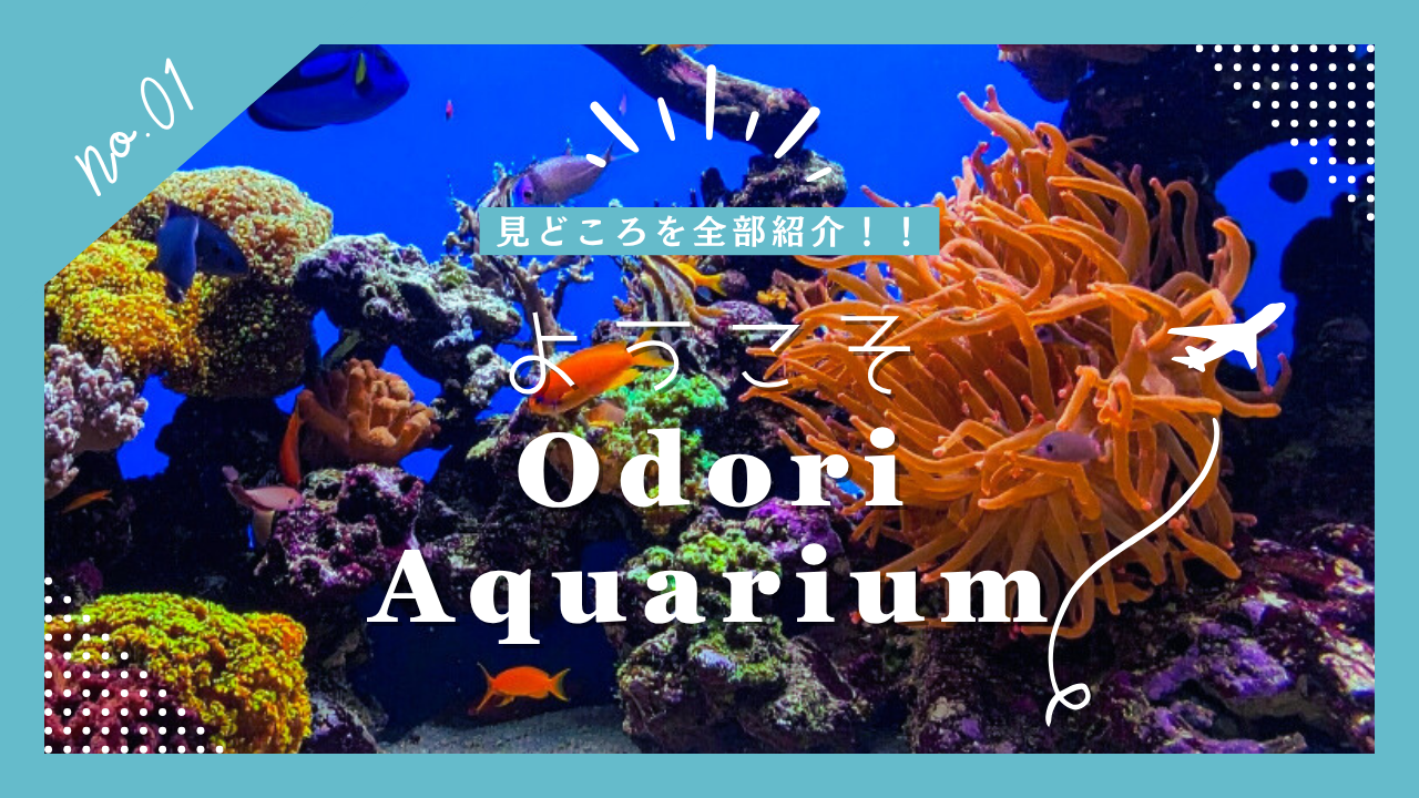 ようこそOdoriAquarium